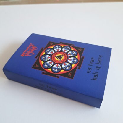 Demoniac Insomniac - No Fear Kali Is Here (Transparent Blue Type II Audio Cassette) - Image 2